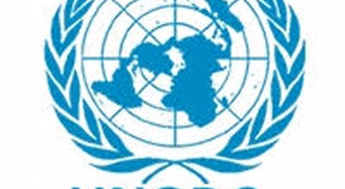 UN Allocates $15 million to Address Food Insecurity, Malnutrition in North East