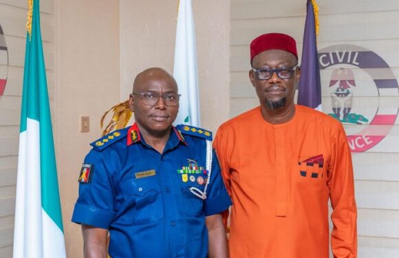 Adulterated Petrol Products: PETROAN Seeks Partnership With NSCDC To Cub Distribution In Nigeria