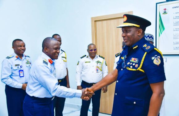 Jets, Helicopters To Be Deployed To Combat Raging Infernos As NAF, FFS Partner