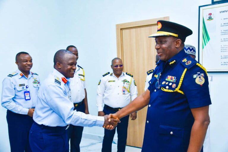 Jets, Helicopters To Be Deployed To Combat Raging Infernos As NAF, FFS Partner