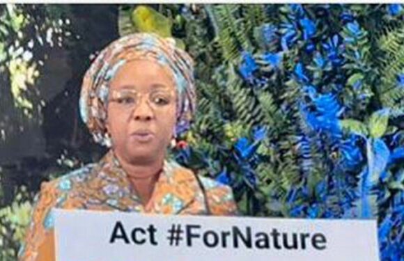 Nigeria Reiterates Commitment To Global Environmental Sustainability