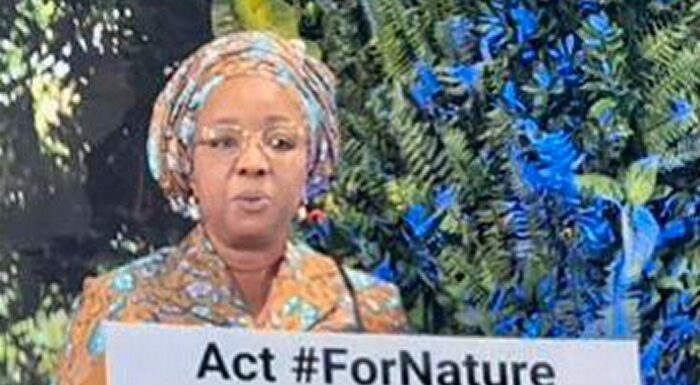 Nigeria Reiterates Commitment To Global Environmental Sustainability