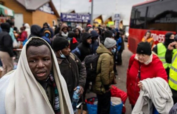 Ukraine Invasion: 479 Nigerians freed