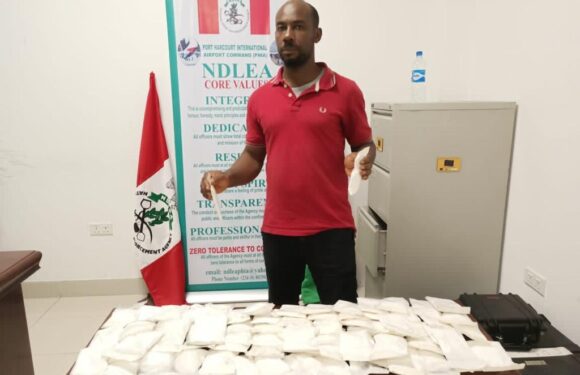 Over N5 billion drugs seized by NDLEA, NCS at Lagos Airport, Abuja, Edo