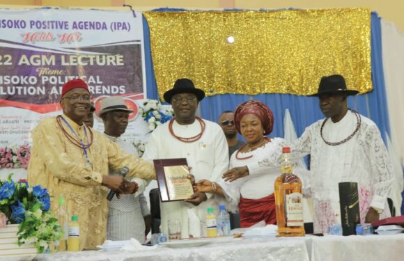 IPA 2022 AGM: Araka Re-Elected Chairman, Eta, Omoyibo, Edor Gets Award Of Excellence