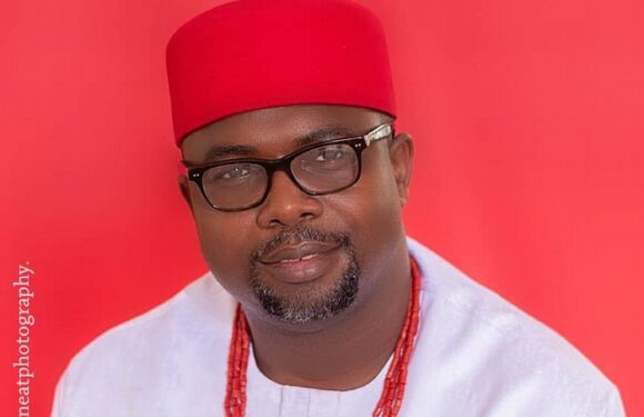 2023: Awogu Clinches APGA Ticket For Ogbaru Federal Constituency