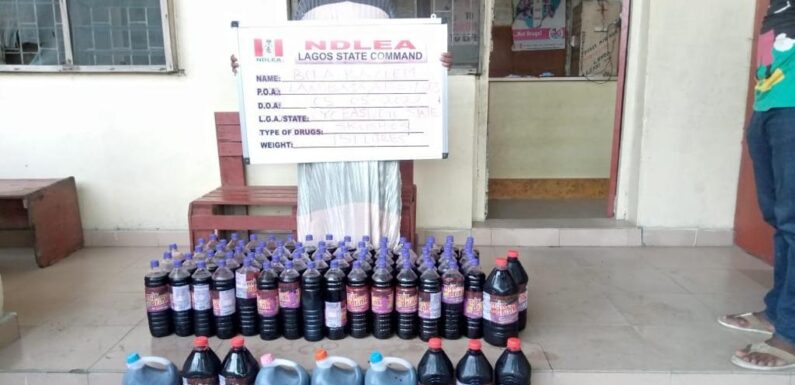 2 pregnant women, among arrested drug traffickers by NDLEA