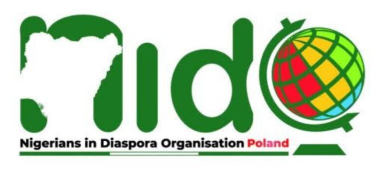 Deborah: Nigerians in Diaspora Describe Killing, Subsequent Protest Destructive to FDI Drive