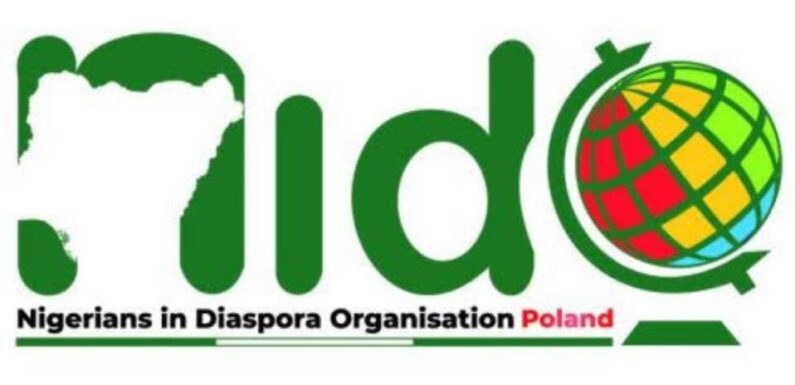 Deborah: Nigerians in Diaspora Describe Killing, Subsequent Protest Destructive to FDI Drive