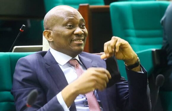 Elumelu: Three Years of Excellent Representation In 9th National Assembly