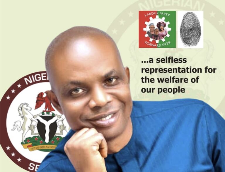 I’ve not withdrawn from Imo senatorial race, LP candidate petitions INEC