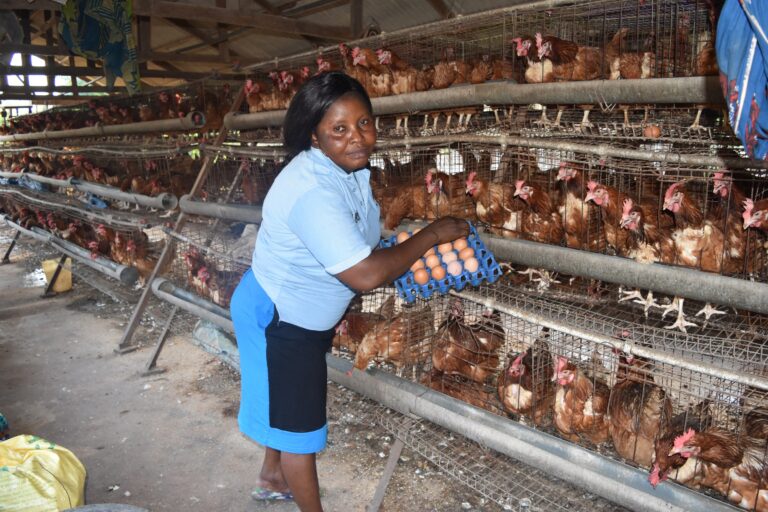 <strong><br>YAGEP Improved My Living Standard, Says Ehienta</strong>