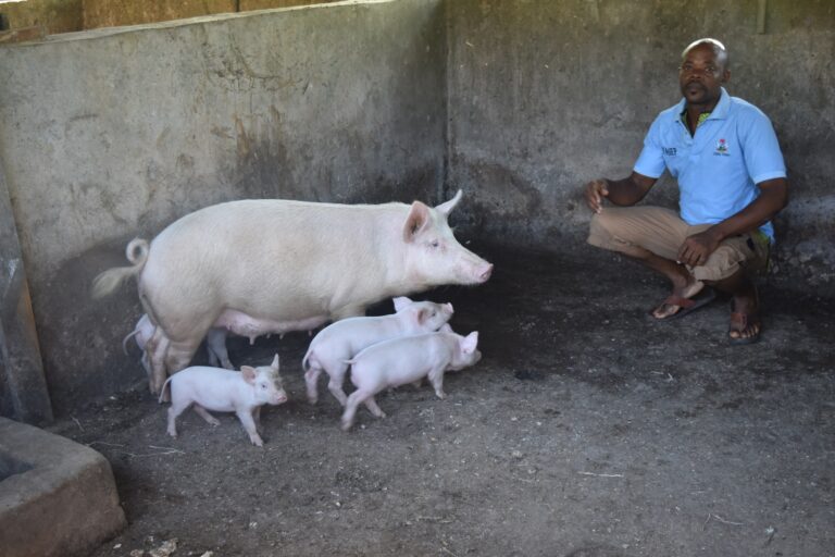 <strong><br>I Earn Daily Livelihood through YAGEP, says Adege</strong>