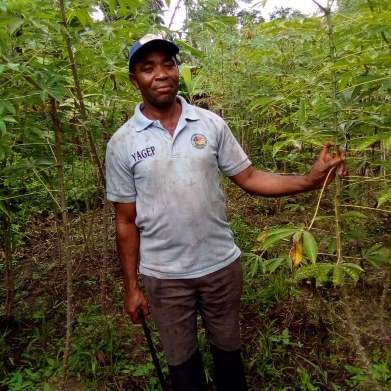 YAGEP Helped Me to Expand My Farm, Says Lokosi 