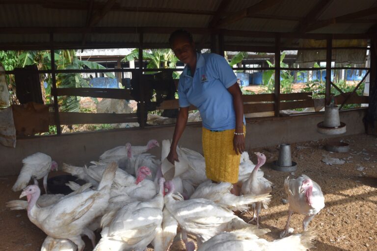 <strong>YAGEP has impacted my life positively</strong><strong>, Says Isede</strong>