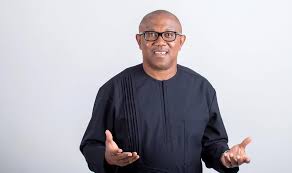 <em>WHAT IF PETER OBI FAILS?</em>