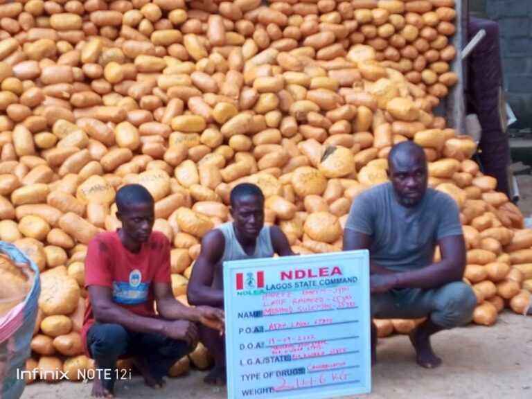 75-year-old grandpa, 21 others arrested by NDLEA in clampdown on illicit drugs in 7 states