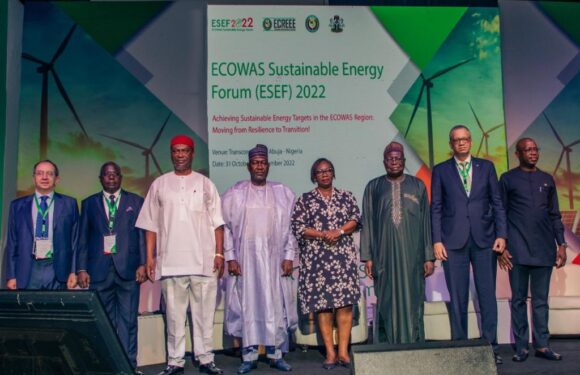 ECOWAS To Establish Electricity Market to Solve Energy Problem, Underdevelopment in West Africa