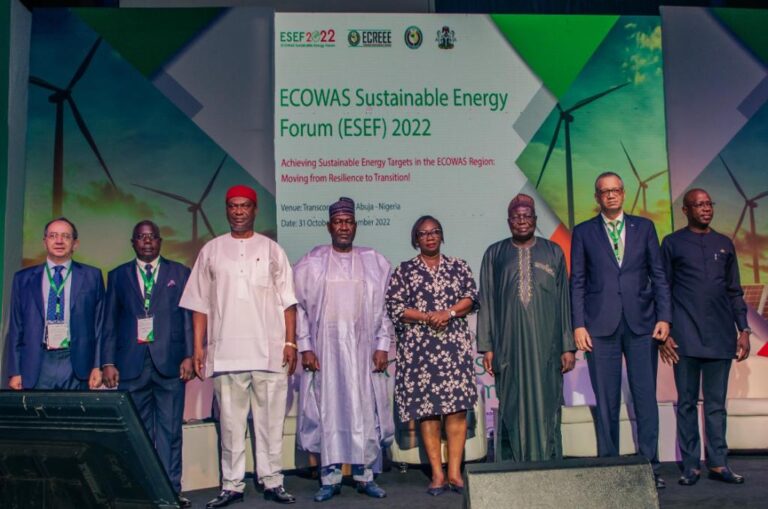 ECOWAS To Establish Electricity Market to Solve Energy Problem, Underdevelopment in West Africa