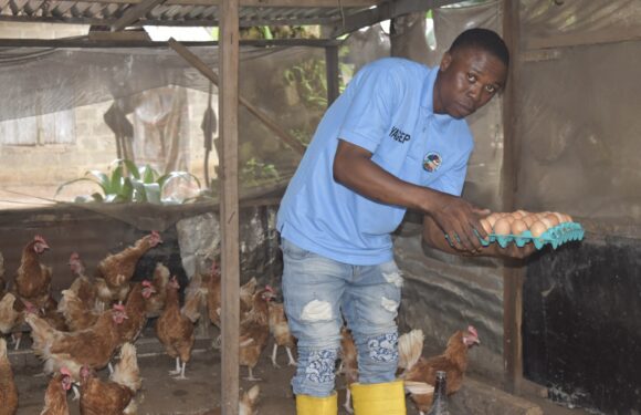 <strong>YAGEP Grew My Poultry Farm, Says Chukwuma</strong>