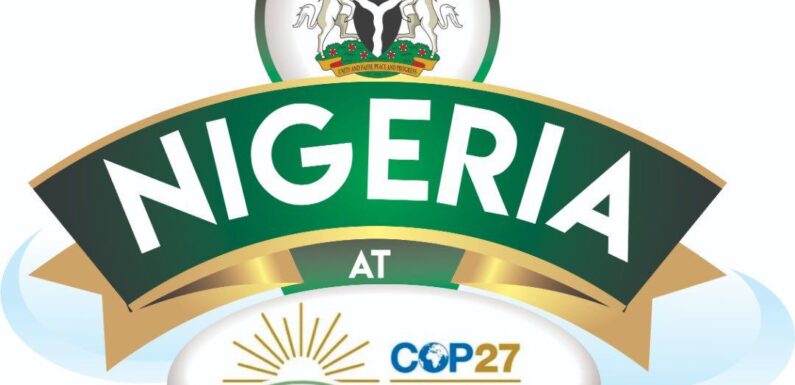 Nigeria Outlines Plans for COP 27