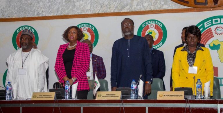 ECOWAS Plan Big Against Terrorism, Political Instability in West Africa