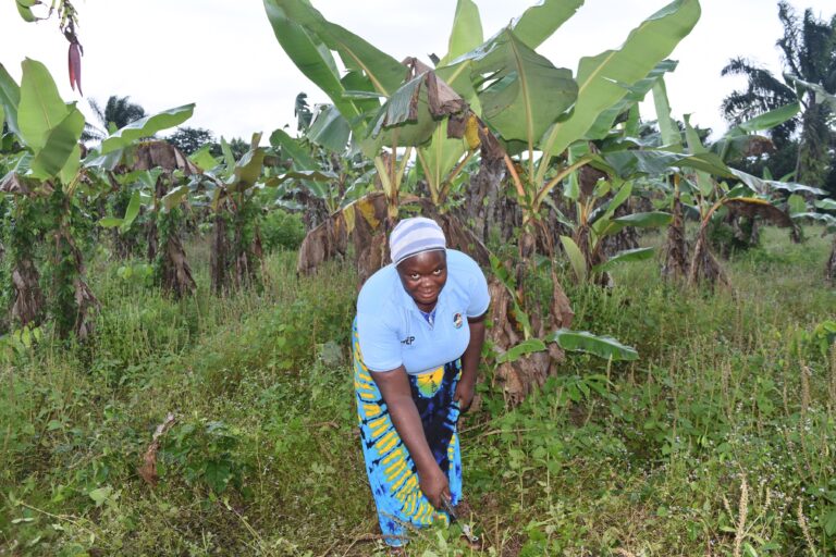 <strong>YAGEP Grew My Business- Aigbe</strong>