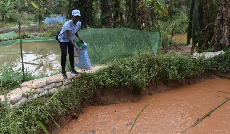 <strong>YAGEP Gave&nbsp;</strong><strong>Me L</strong><strong>ife Support&nbsp;</strong><strong>for M</strong><strong>y Business, Says&nbsp;</strong><strong>Atisele</strong>