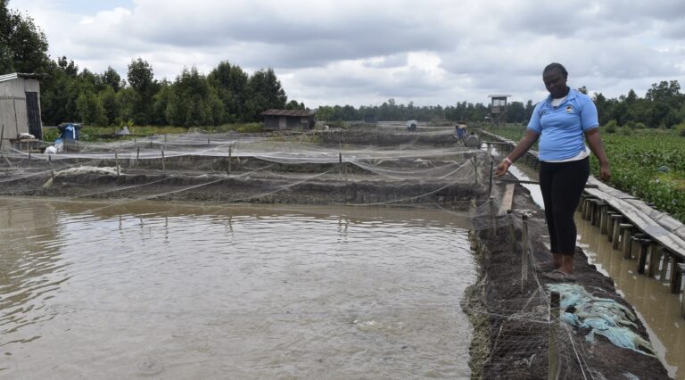 <strong>YAGEP Took Me out of Labour Market- Agbajoh</strong>