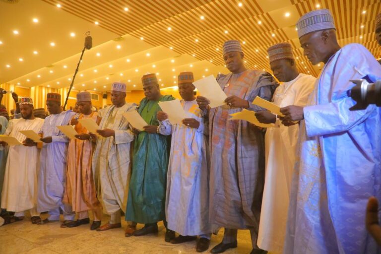 Borno deputy governor swears in 27 council chairmen