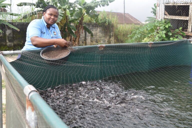 <strong>YAGEP Is My Game Changer- Uruemuesiri</strong>