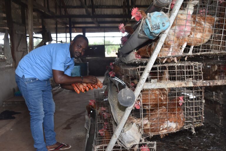 <strong>Key into Govt’s</strong><strong>.</strong><strong>&nbsp;Agricultural Policies,&nbsp;</strong><strong><em>YAGEPreneur</em></strong><strong><em>&nbsp;</em></strong><strong>Odogwu Advises Youths</strong>