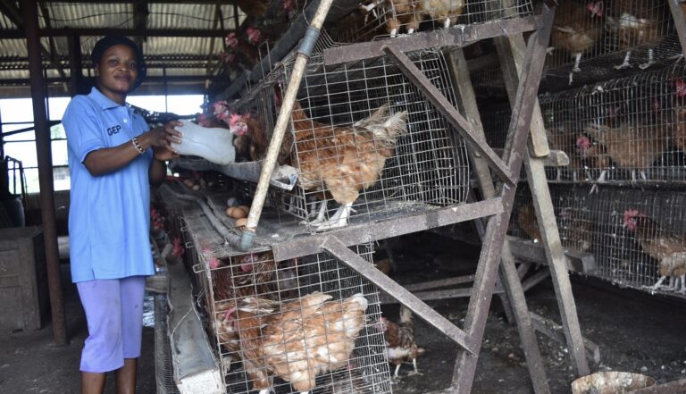 <strong>YAGEP Made Life Easier for My Family –</strong><strong>Ndibisi</strong>