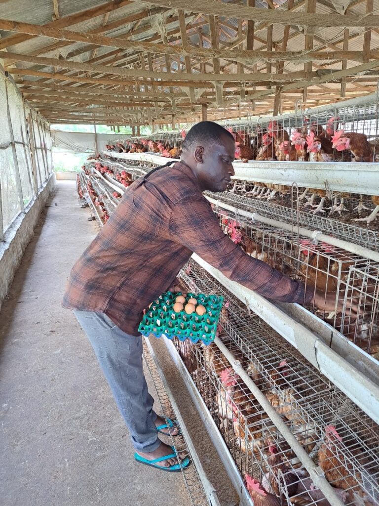 <strong>YAG</strong><strong>EP Helped Me to Grow My Farm</strong><strong>, S</strong><strong>ays&nbsp;</strong><strong>Emeghai</strong>