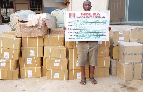 NDLEA seizes N5 billion aploids in Lagos Warehouse, arrests two kingpins
