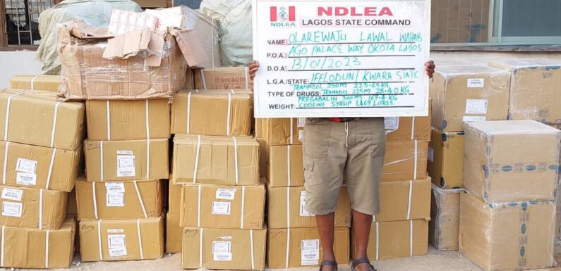 NDLEA seizes N5 billion aploids in Lagos Warehouse, arrests two kingpins