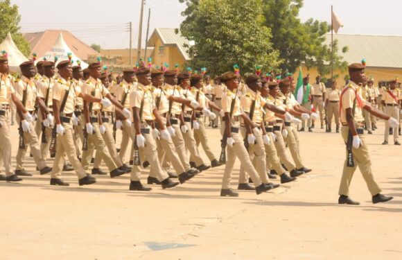 CGIS Asks Immigration Personnel to Remain Apolitical, Stop Non-Nigerians from Participating in Elections