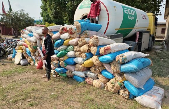 NDLEA Arrests Church General Overseer, Theology Student over Dubai-bound meth, skunk<br>…Intercepts 1,430kgs Cannabis in LNG truck