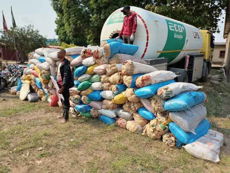 NDLEA Arrests Church General Overseer, Theology Student over Dubai-bound meth, skunk<br>…Intercepts 1,430kgs Cannabis in LNG truck