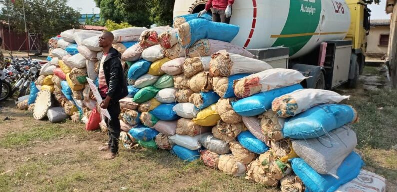 NDLEA Arrests Church General Overseer, Theology Student over Dubai-bound meth, skunk<br>…Intercepts 1,430kgs Cannabis in LNG truck