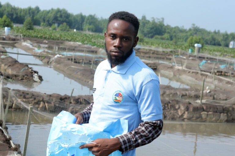 <strong>I Sponsor My University Education from My YAGEP Farm –</strong><strong>&nbsp;Edema</strong>