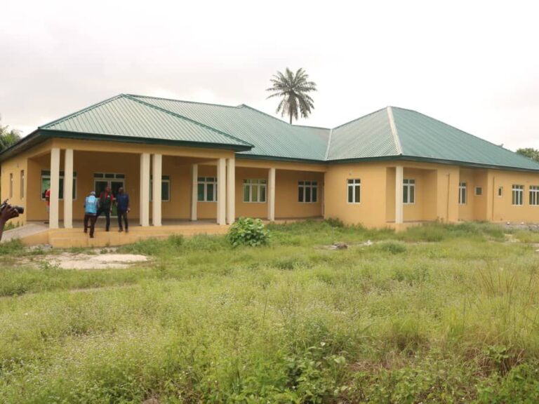 <em>DESOPADEC</em> : <em>Accelerated and Impactiful Interventions 1</em>