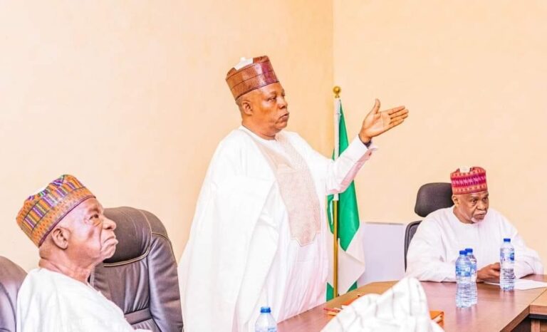 Expectations On Us By Nigerians Very High – Shettima