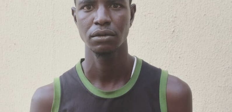Ex-Boko Haram fighter, traditional ruler, 35 others arrested for drug trafficking