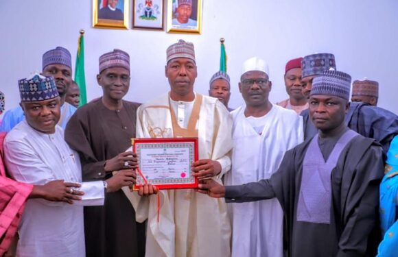 “I have no luxury of time”, says Zulum after picking certificate of return