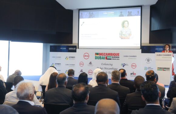 Dubai-Mozambique Business Forum Underscores Mutual Investment, Trade Opportunities