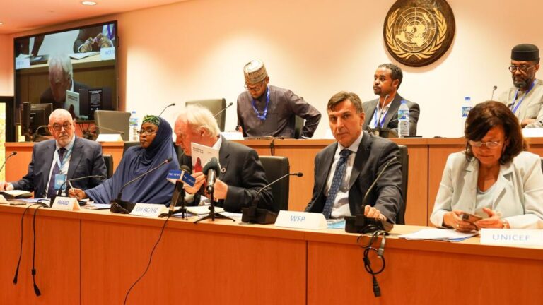 UN Says US396 million Needed Urgently to Avert Catastrophic Humanitarian Crisis in Northeast