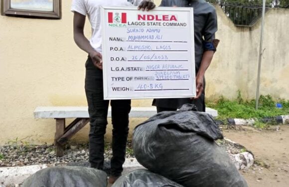 NDLEA intercepts explosives, meth consignment…Arrests Cameroonian in Nigerian military uniform