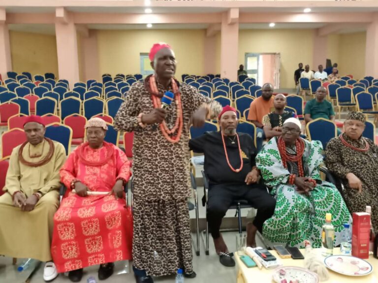 Isoko Alternative Energy: The Way Forward – IDU