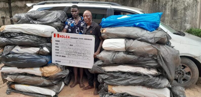 NDLEA seizes 8,852 kgs illicit drugs consignment after half hour gun duel in Lagos